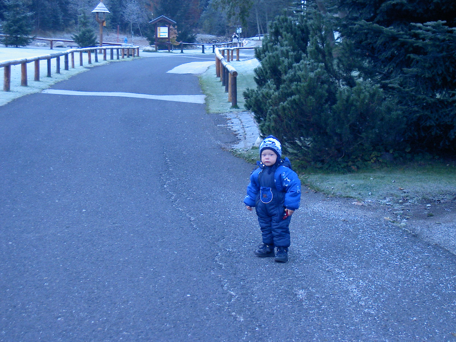 PICT7136.JPG