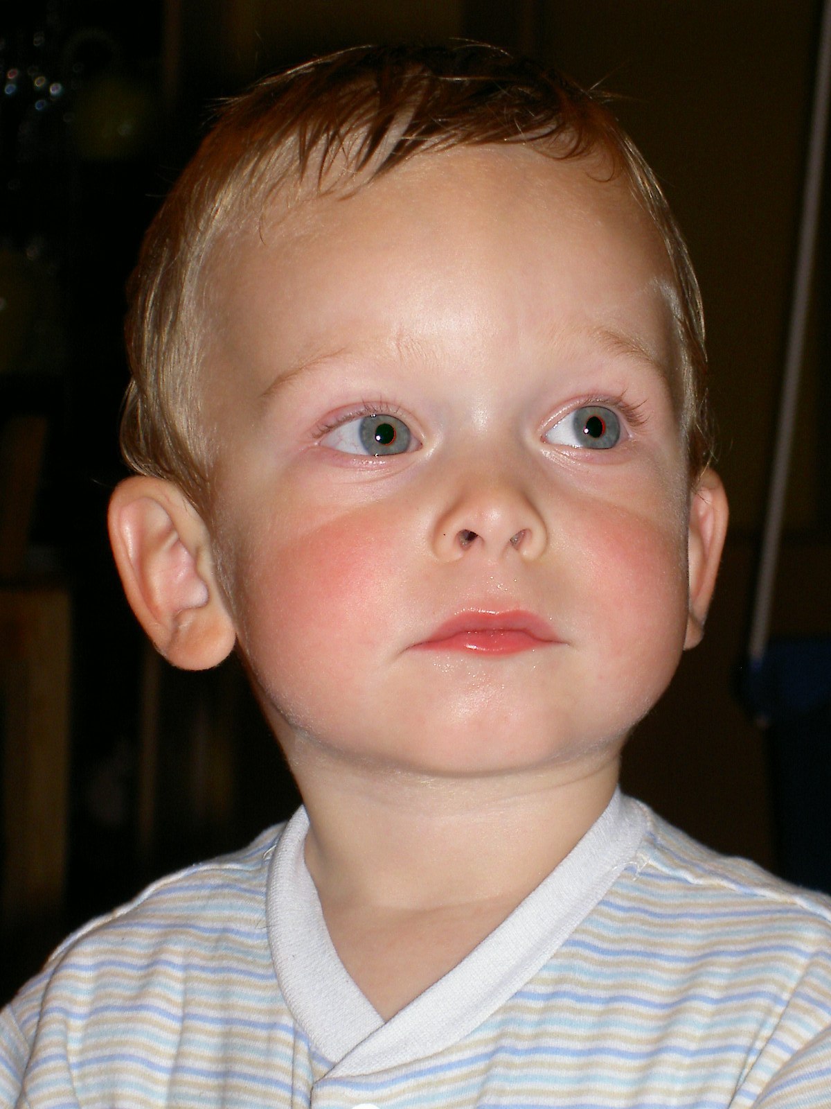PICT7156.JPG